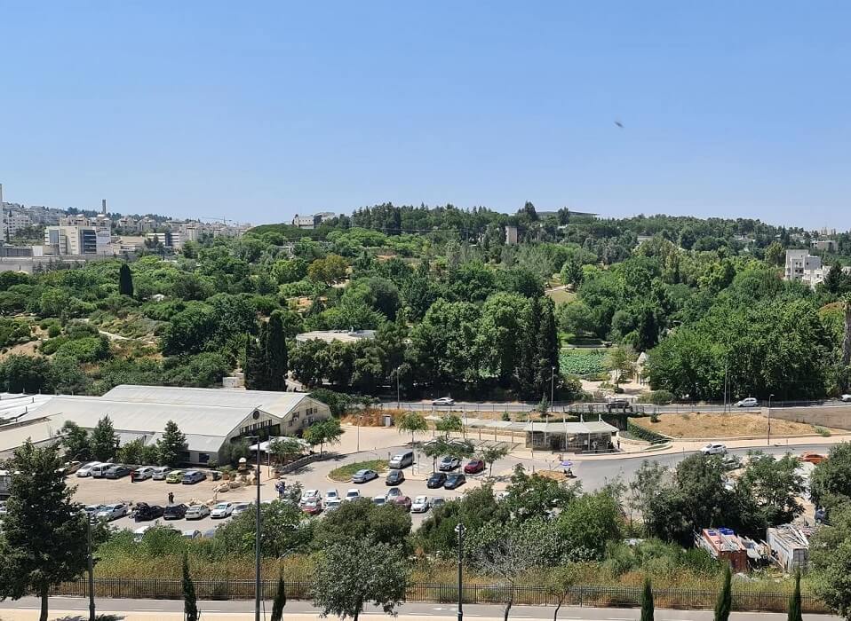 Herzog 77-79-81 תמונת נוף